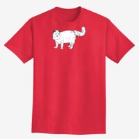 Adult Ultra Cotton® Tall T-Shirt Thumbnail