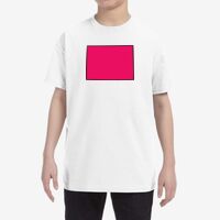 Heavy Cotton™ Youth 5.3 oz. T-Shirt Thumbnail