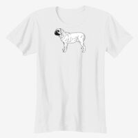 Ladies' Softstyle® Fitted T-Shirt Thumbnail